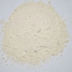 마늘 전구 분말